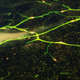 Illustration for article titled Traffic from Space Videos Blow Our Minds, Pants, and Socks
